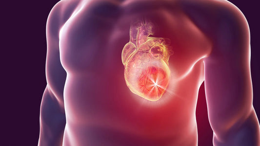 3D illustration of a glowing human heart inside the chest, representing internal symptoms and silent signs your heart may be in danger.