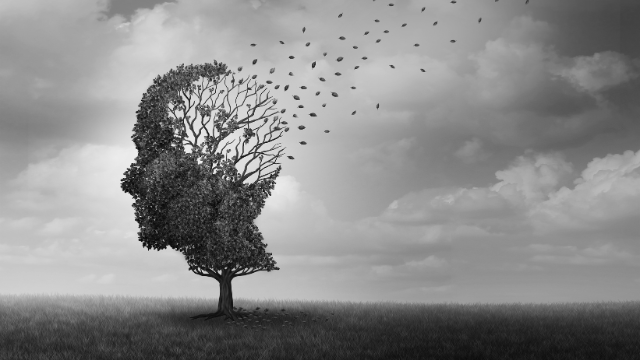 Exploring the Potential of Nattokinase in Reducing Dementia Risk