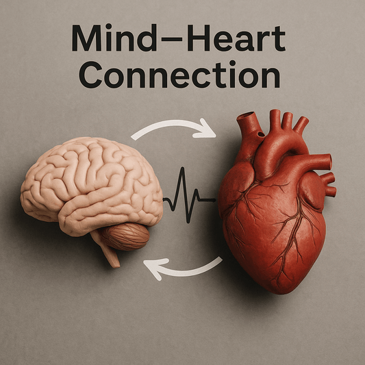 The Brain–Heart Connection and How to Support It Naturally