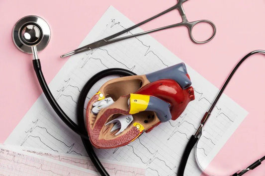 Atherosclerosis vs. Arteriosclerosis: Differences and How to Prevent Them