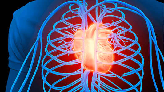 Inflammation and Heart Health: What Most People Are Missing