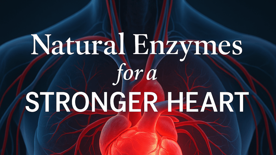 Natural Enzymes for a Stronger Heart