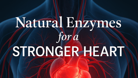 Natural Enzymes for a Stronger Heart
